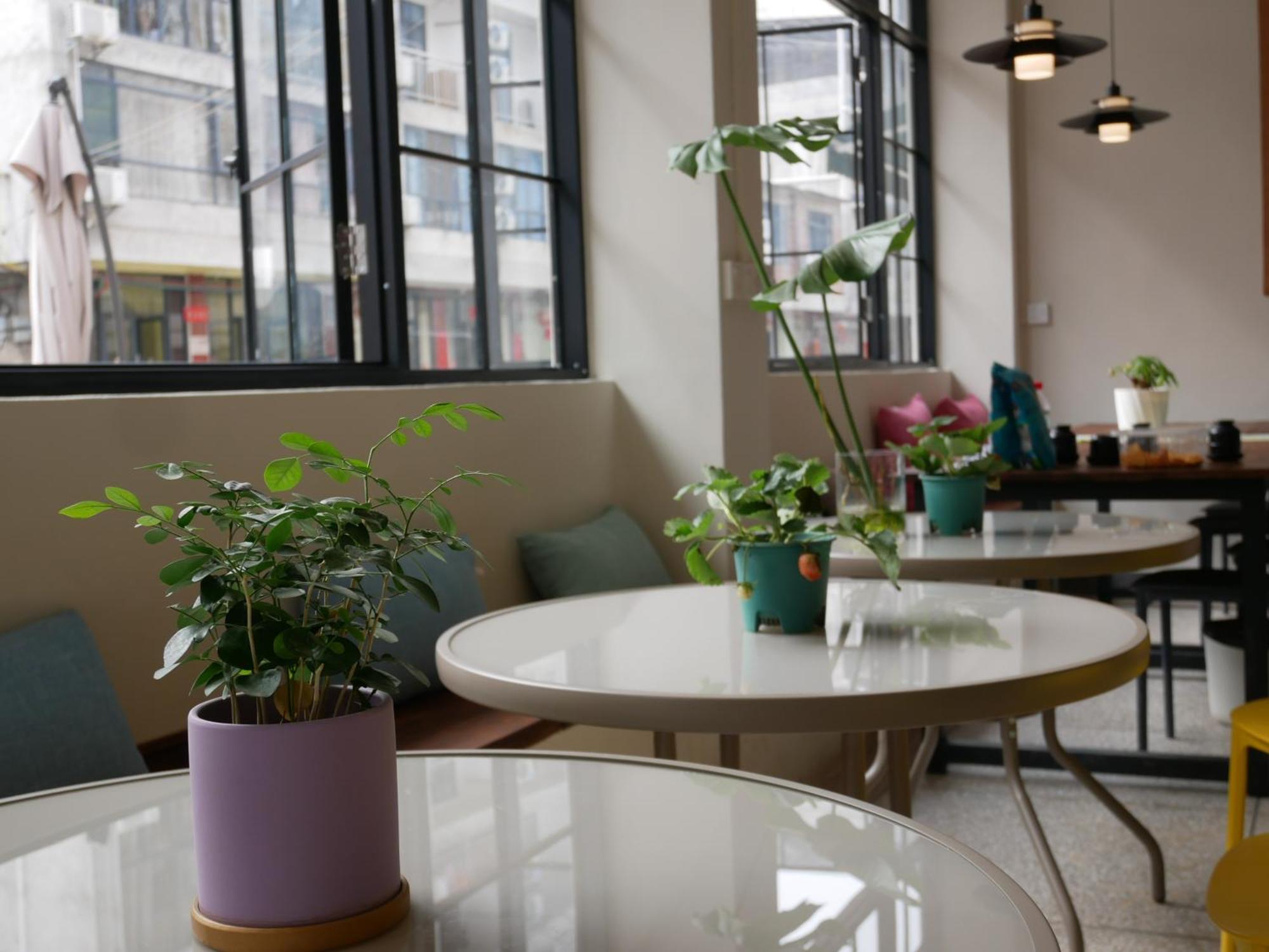 Pomelo Hostel Xingping يانغتشو المظهر الخارجي الصورة
